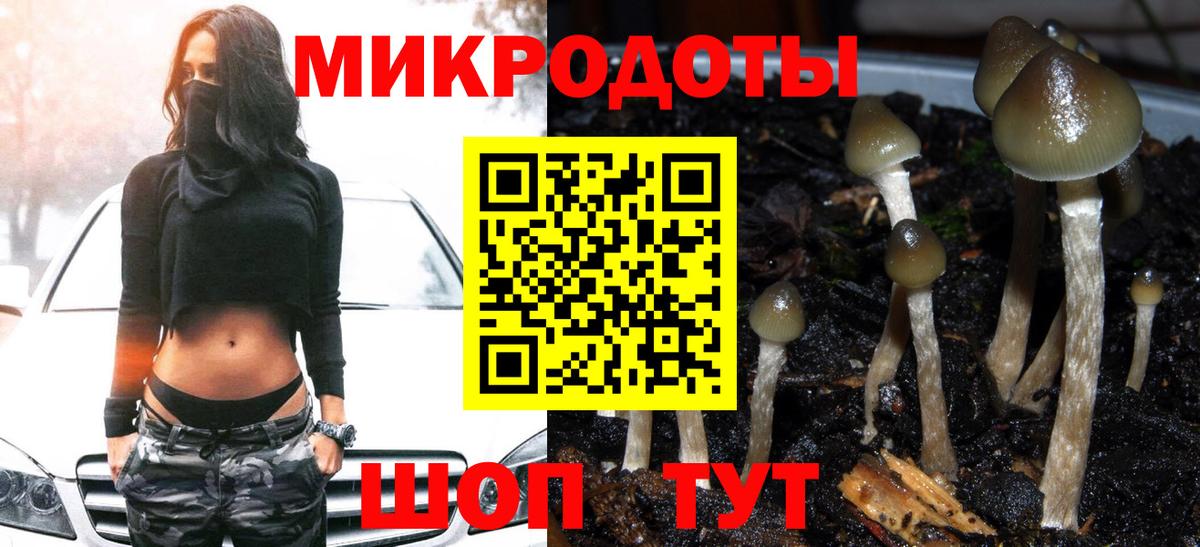 Галлюциногенные грибы прущие грибы  Вход с VPN  Прокопьевск 