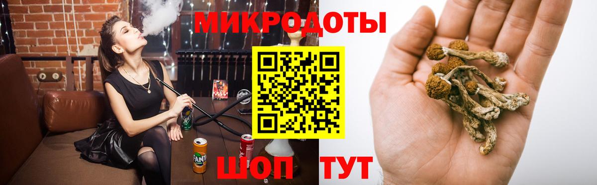 Псилоцибиновые грибы мицелий Прокопьевск