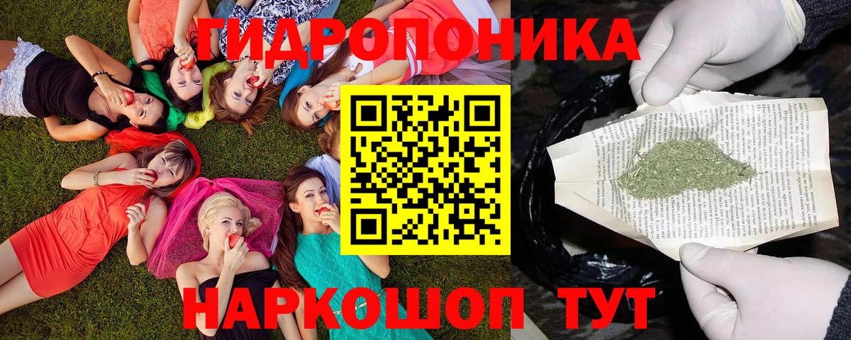 Шишки марихуана гибрид Прокопьевск